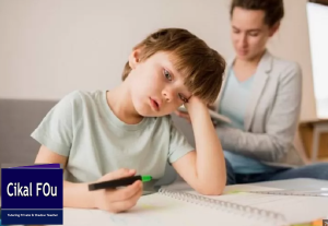 shadow teacher cikal 1