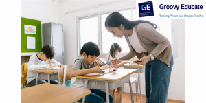 shadow teacher groovy educate 01 shadow teacher groovy educate 01